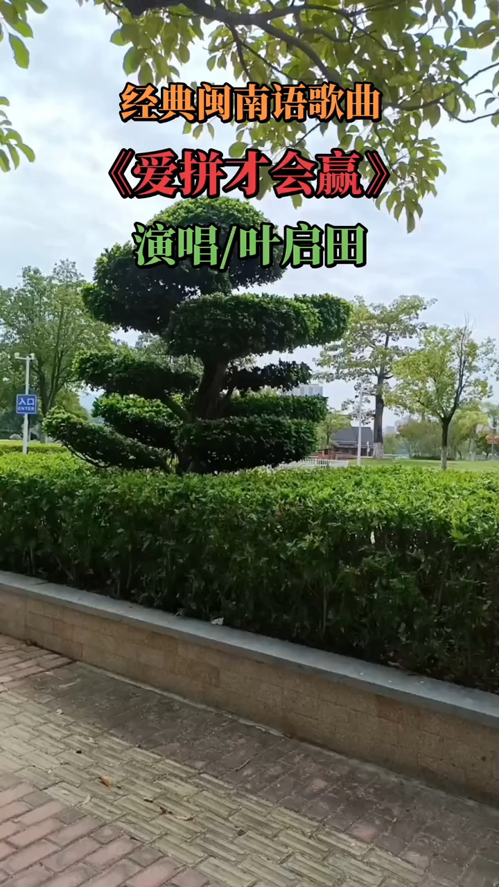 爱拼才会赢