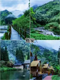 🔥【60+必收藏】这四个慢节奏城市太适合带爸妈去了！景美人少#城事通CityScope