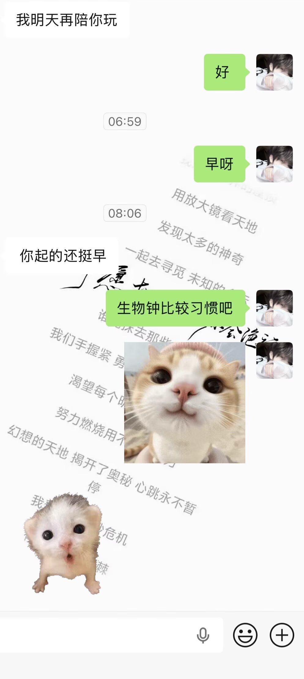 求军师指点#城事通CityScope