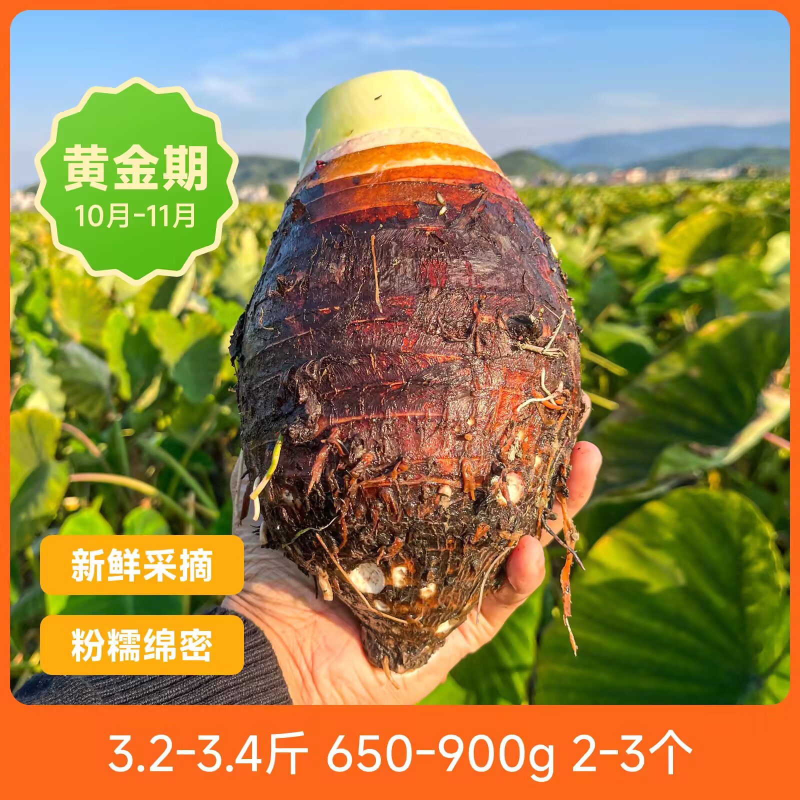 芋头美食#城事通CityScope