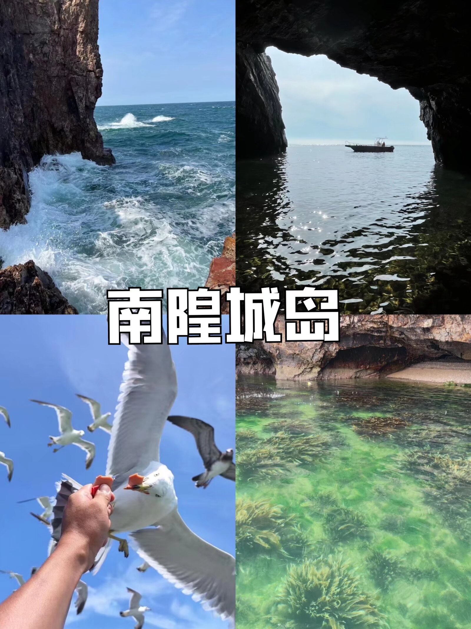 **🌊山东私藏的“小三亚”！5个冷门海岛&仙山，人少景美速码#城事通CityScope