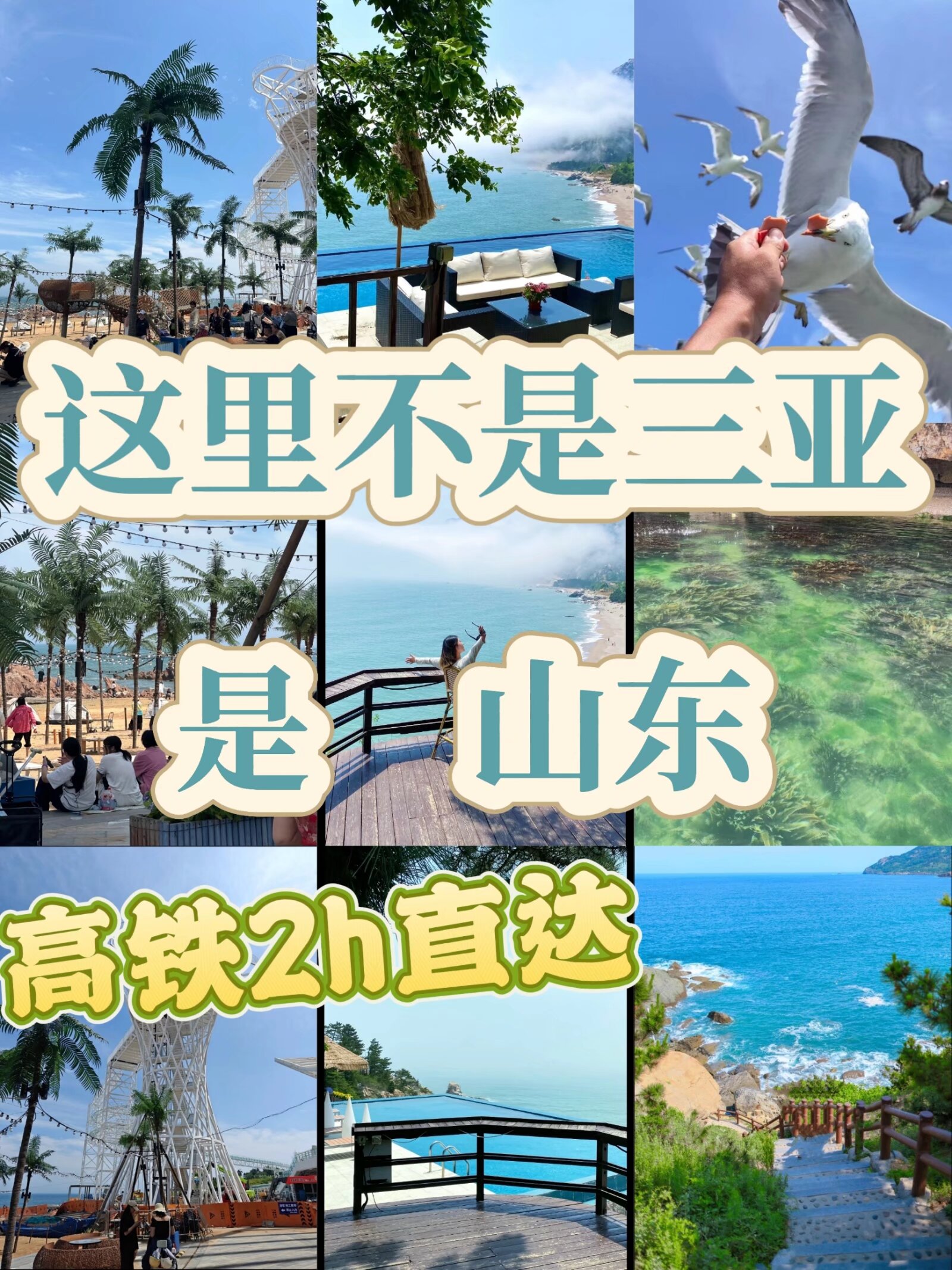 **🌊山东私藏的“小三亚”！5个冷门海岛&仙山，人少景美速码#城事通CityScope